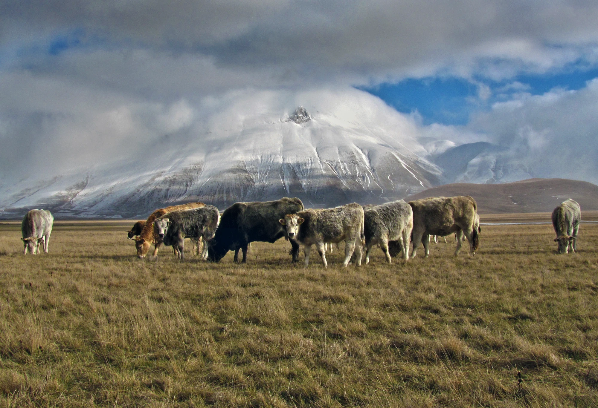 Paesaggio di Castelluccio ai piedi dei monti Sibillini