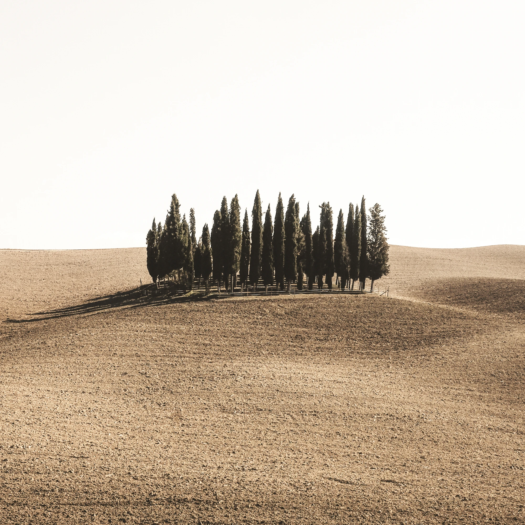 Cipressi e colline in Val d’Orcia